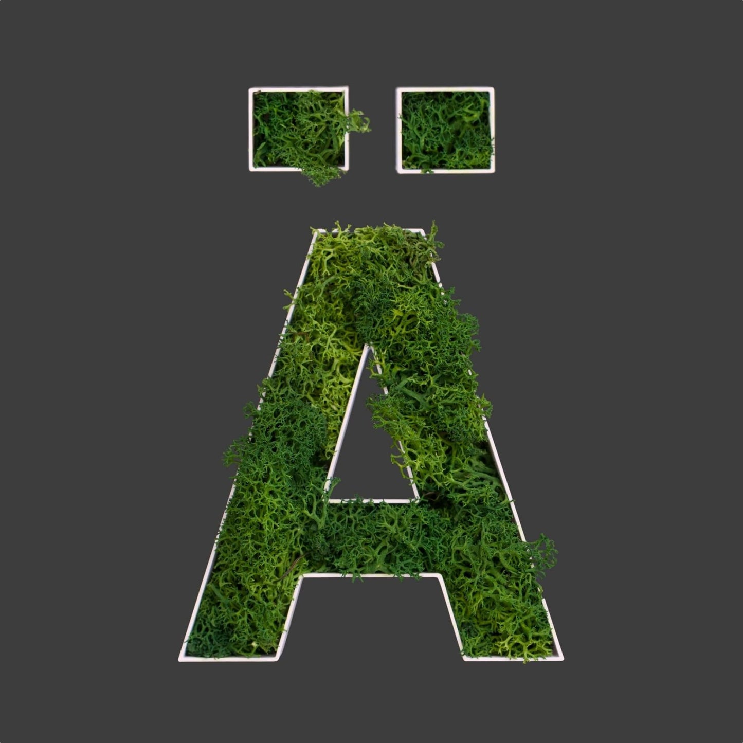 Buchstabe Ä aus Islandmoos dunkelgrün in weißem Rahmen
