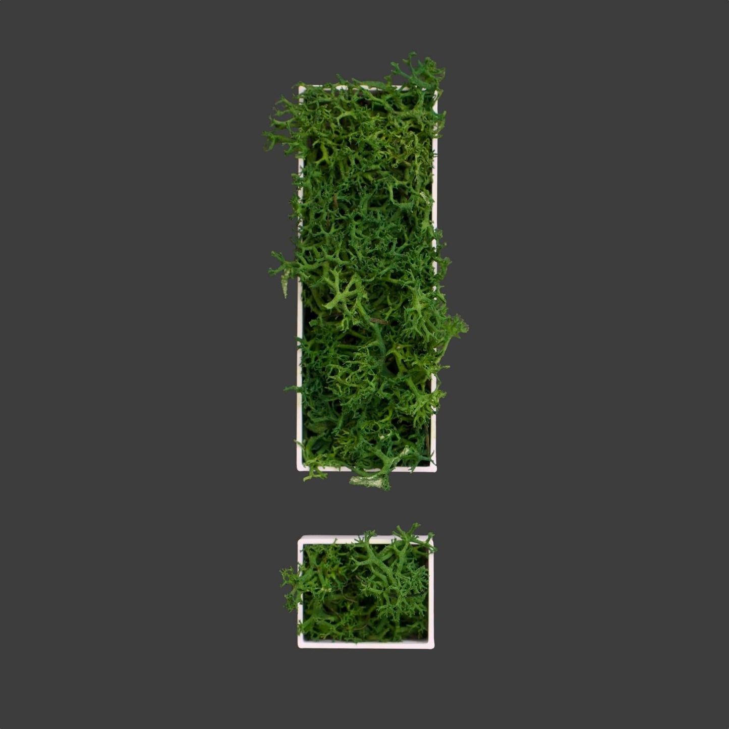 Sonderzeichen ! aus Islandmoos dunkelgrün in weißem Rahmen