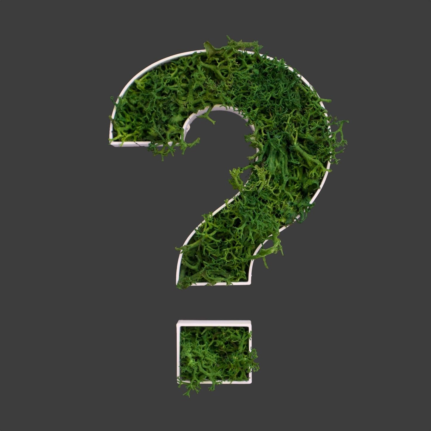 Sonderzeichen ? aus Islandmoos dunkelgrün in weißem Rahmen
