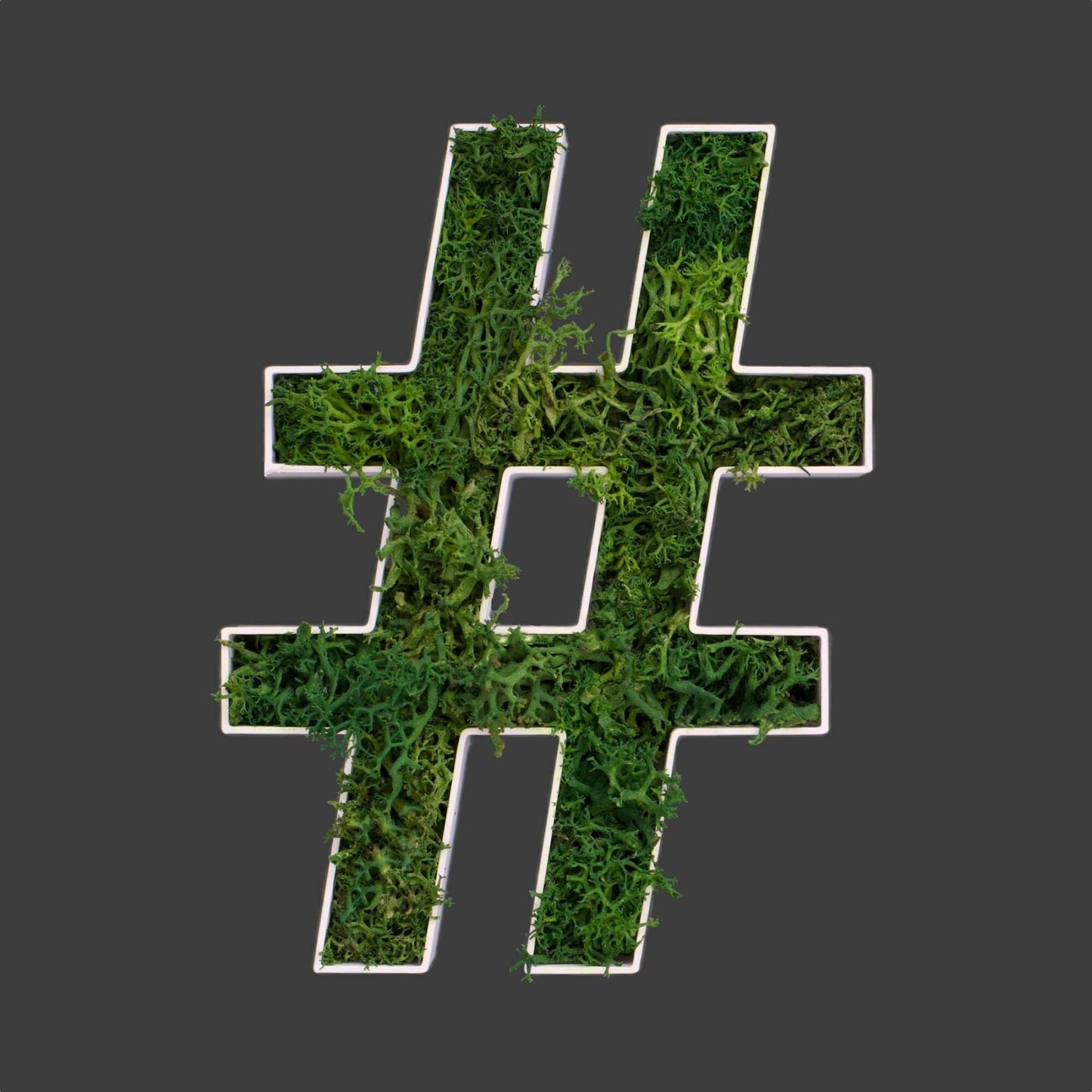 Sonderzeichen # aus Islandmoos dunkelgrün in weißem Rahmen