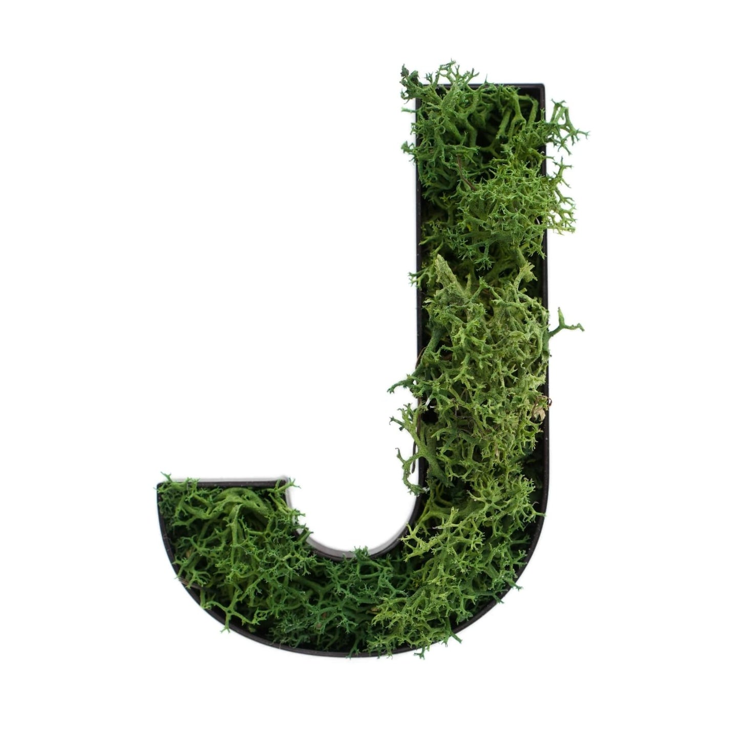 Buchstabe J aus Islandmoos dunkelgrün in schwarzem Rahmen