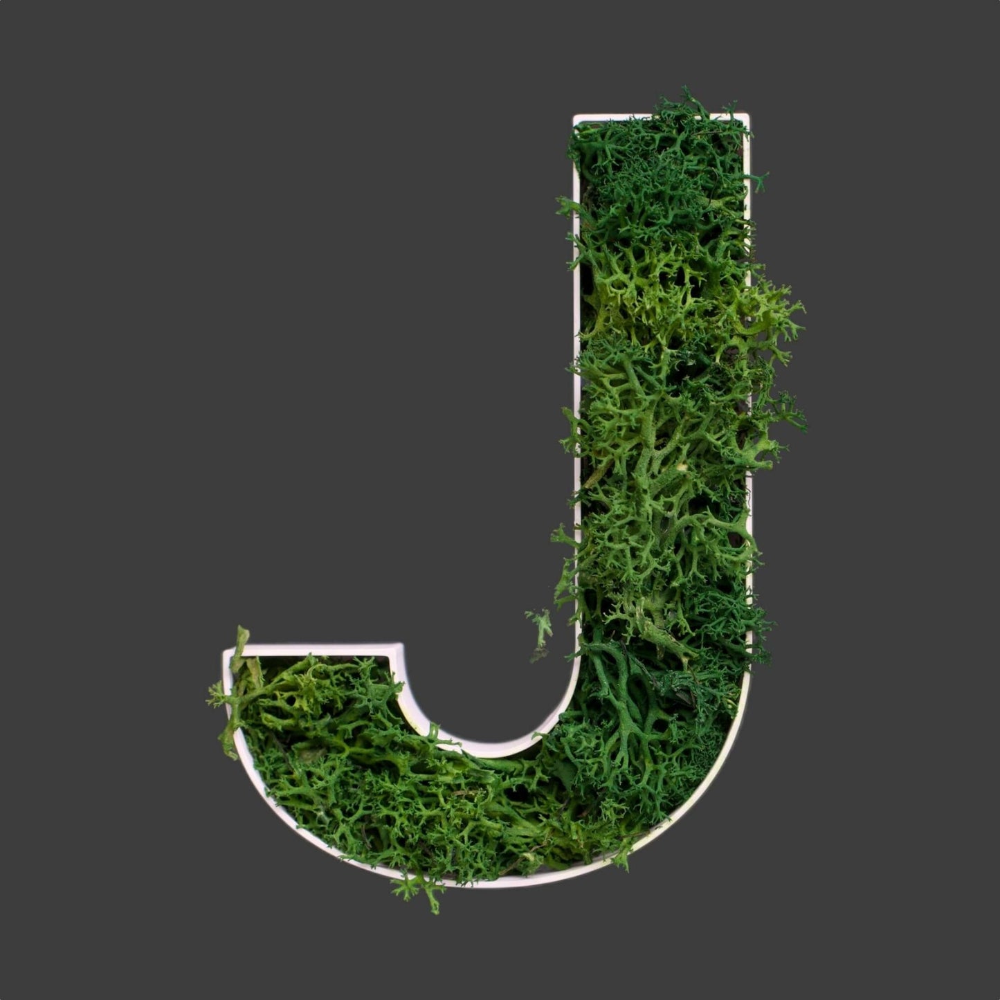 Buchstabe J aus Islandmoos dunkelgrün in weißem Rahmen