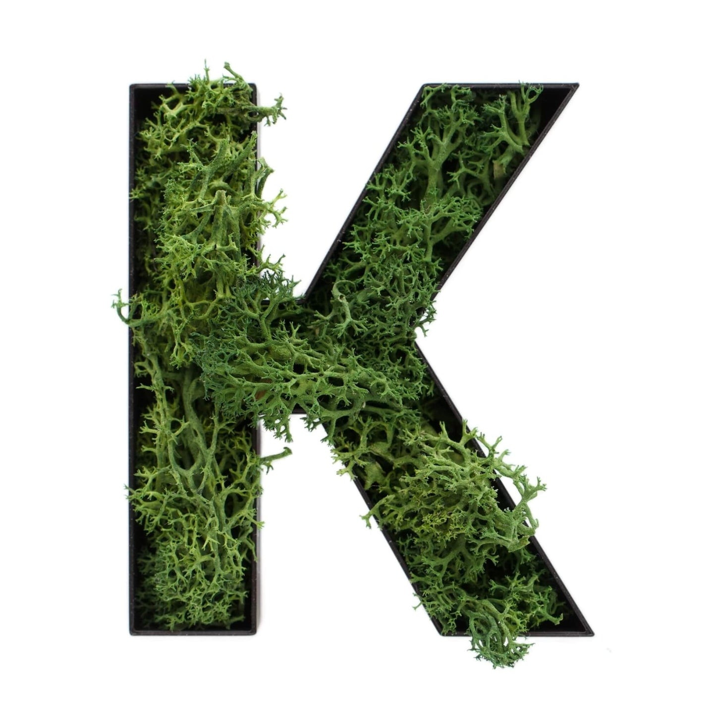 Buchstabe K aus Islandmoos dunkelgrün in schwarzem Rahmen