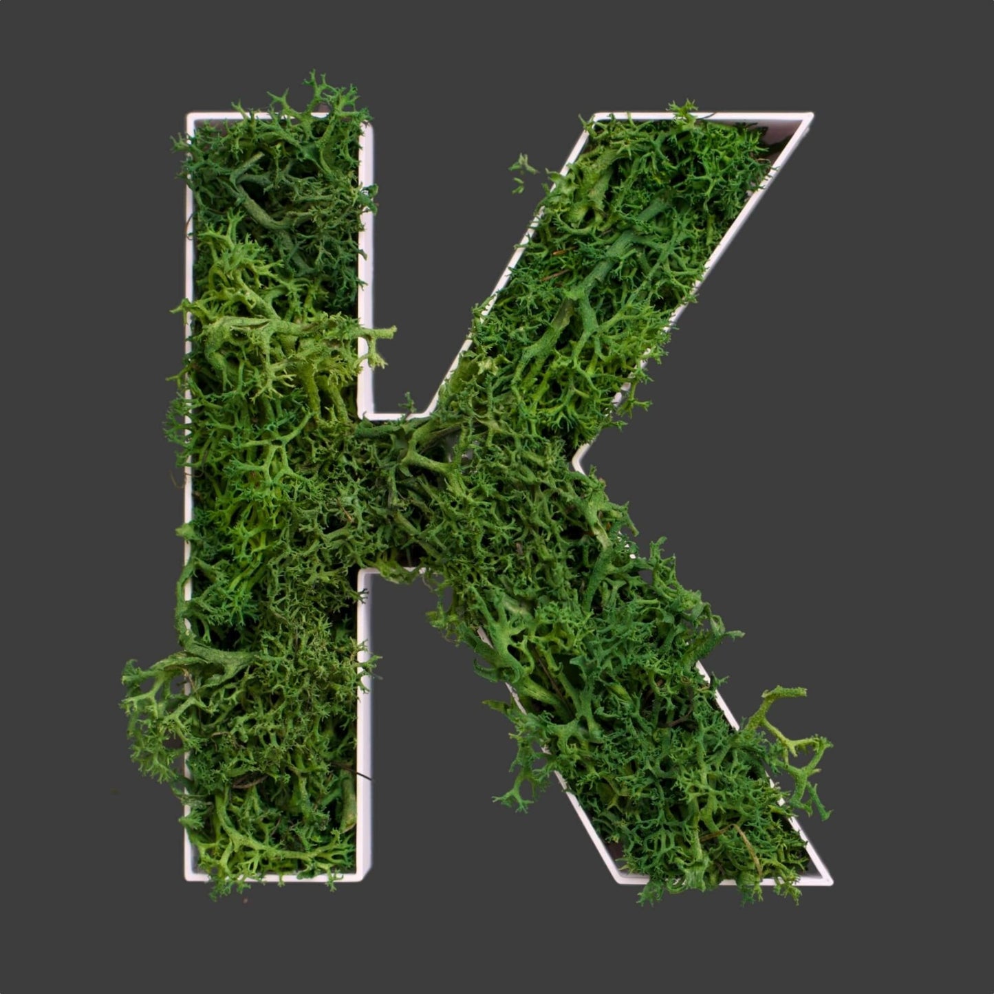 Buchstabe K aus Islandmoos dunkelgrün in weißem Rahmen
