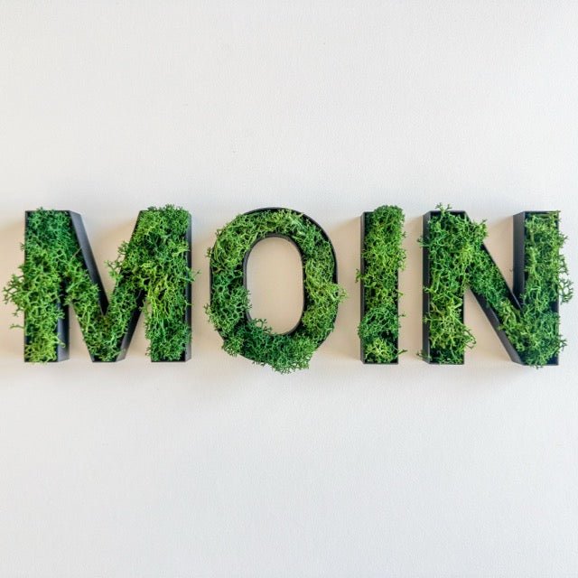 MOIN – Set aus Moosbuchstaben - moosletters.de