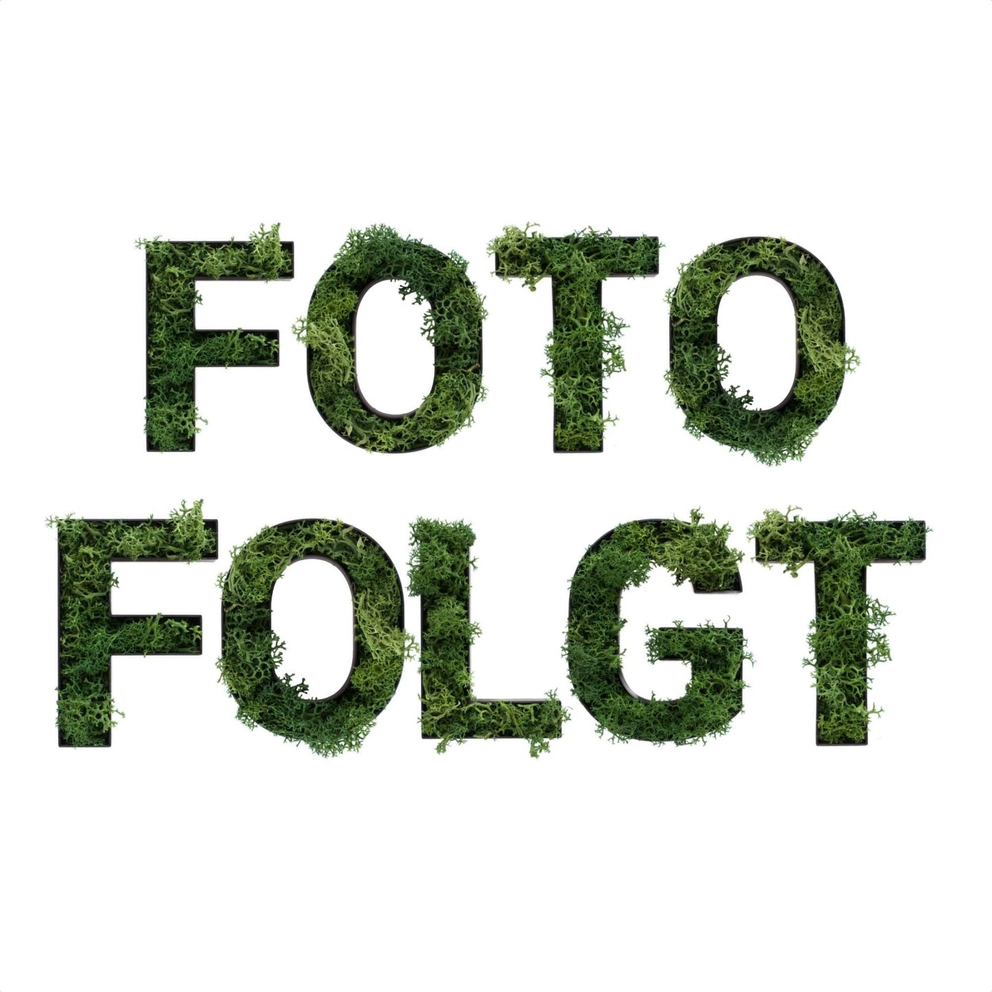 Worte FOTO FOLGT aus dunkelgrünem Islandmoos in schwarzem Rahmen