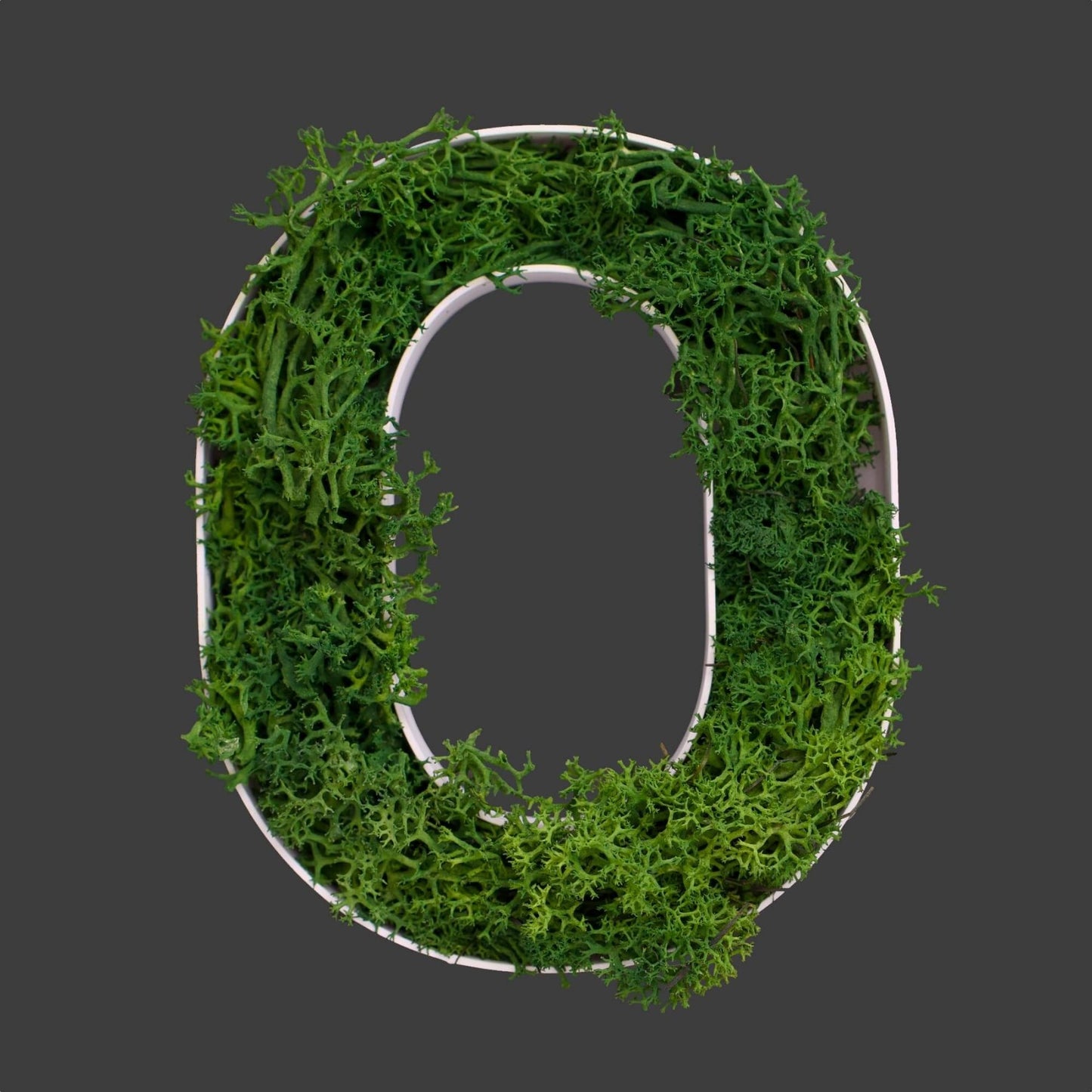 Buchstabe O aus Islandmoos dunkelgrün in weißem Rahmen