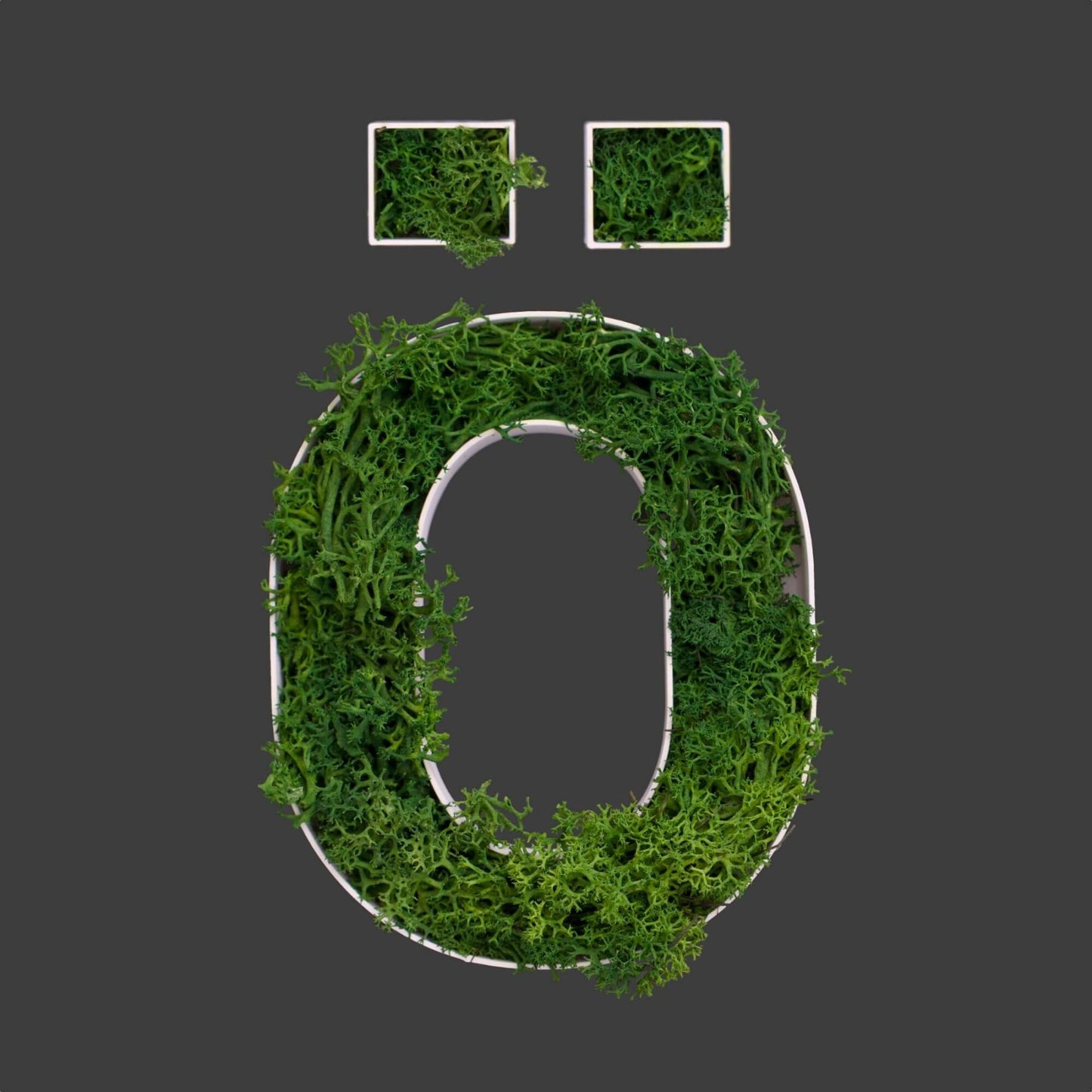 Buchstabe Ö aus Islandmoos dunkelgrün in weißem Rahmen