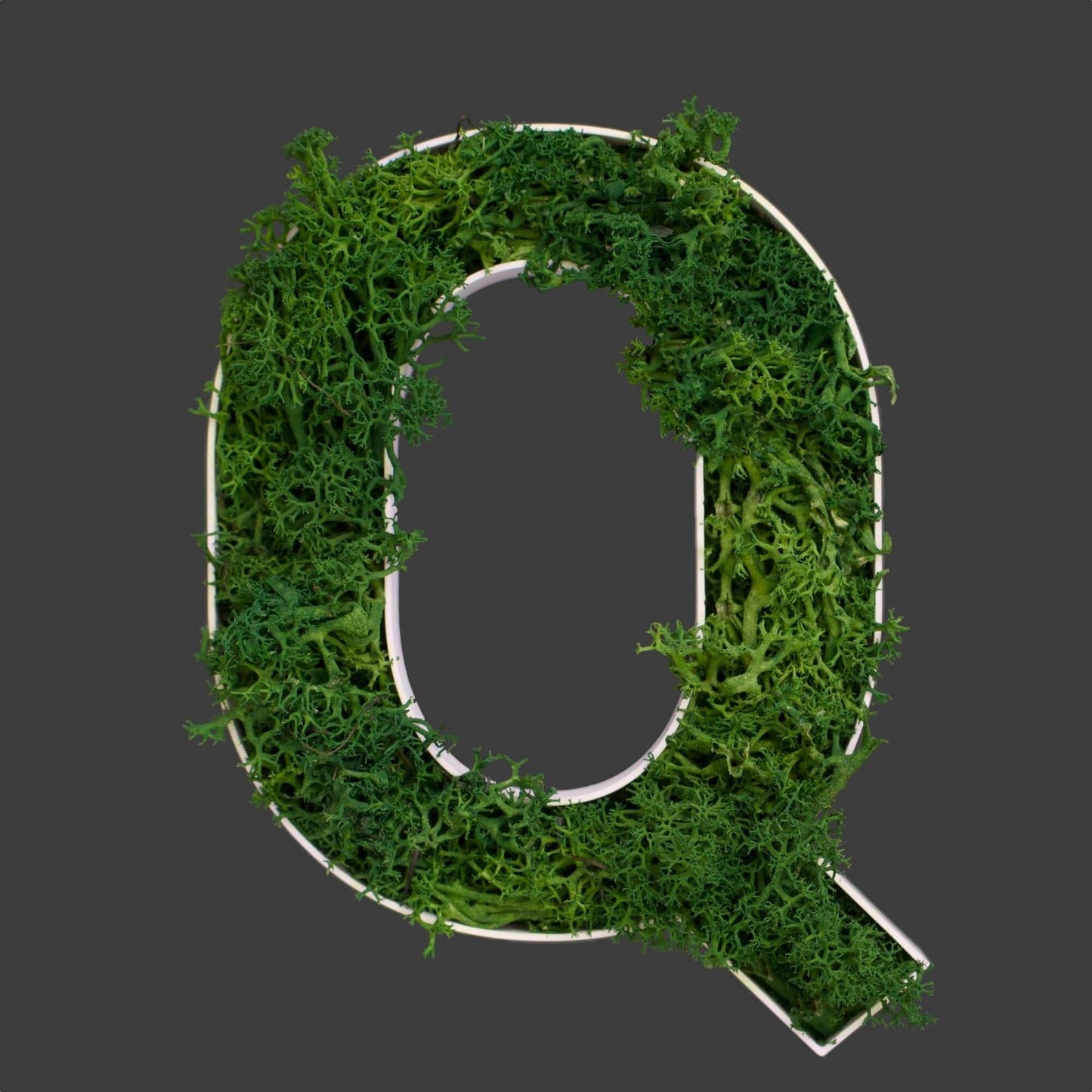Buchstabe Q aus Islandmoos dunkelgrün in weißem Rahmen