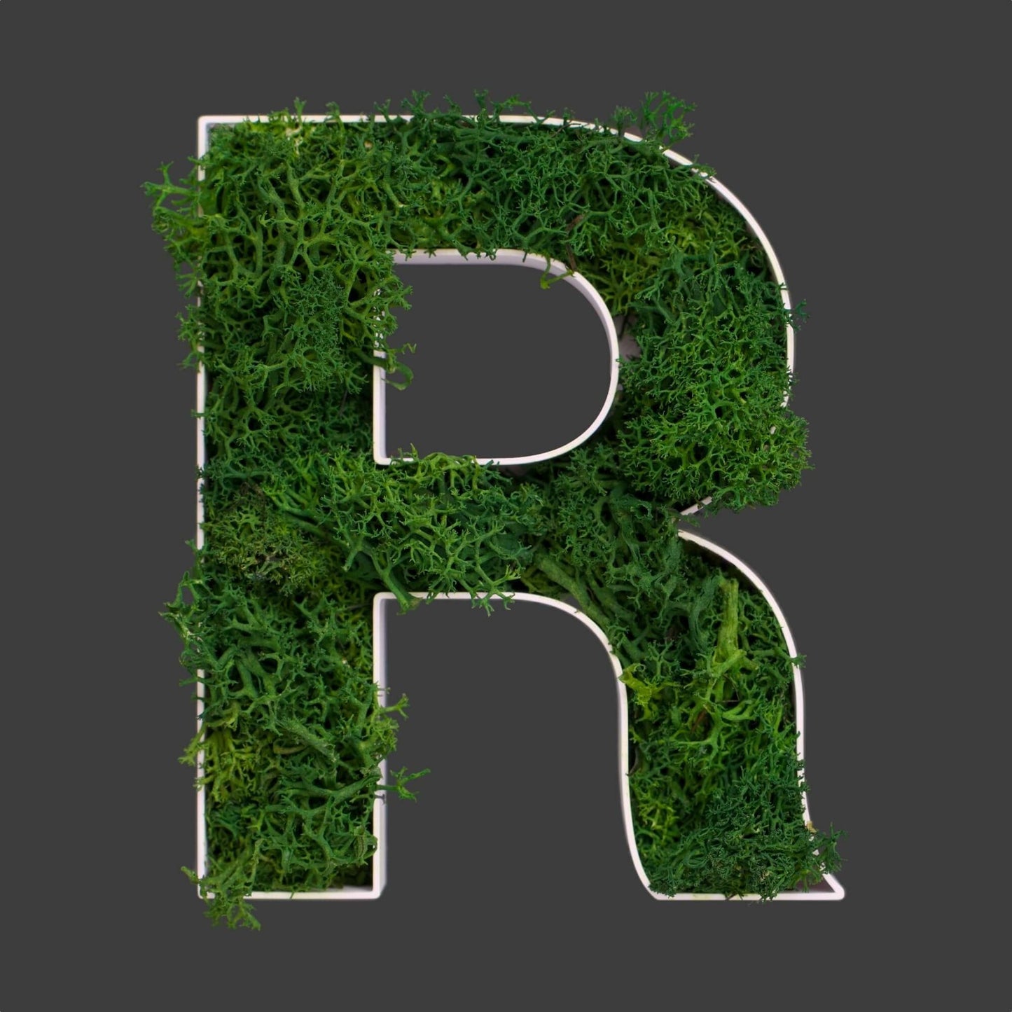 Buchstabe R aus Islandmoos dunkelgrün in weißem Rahmen