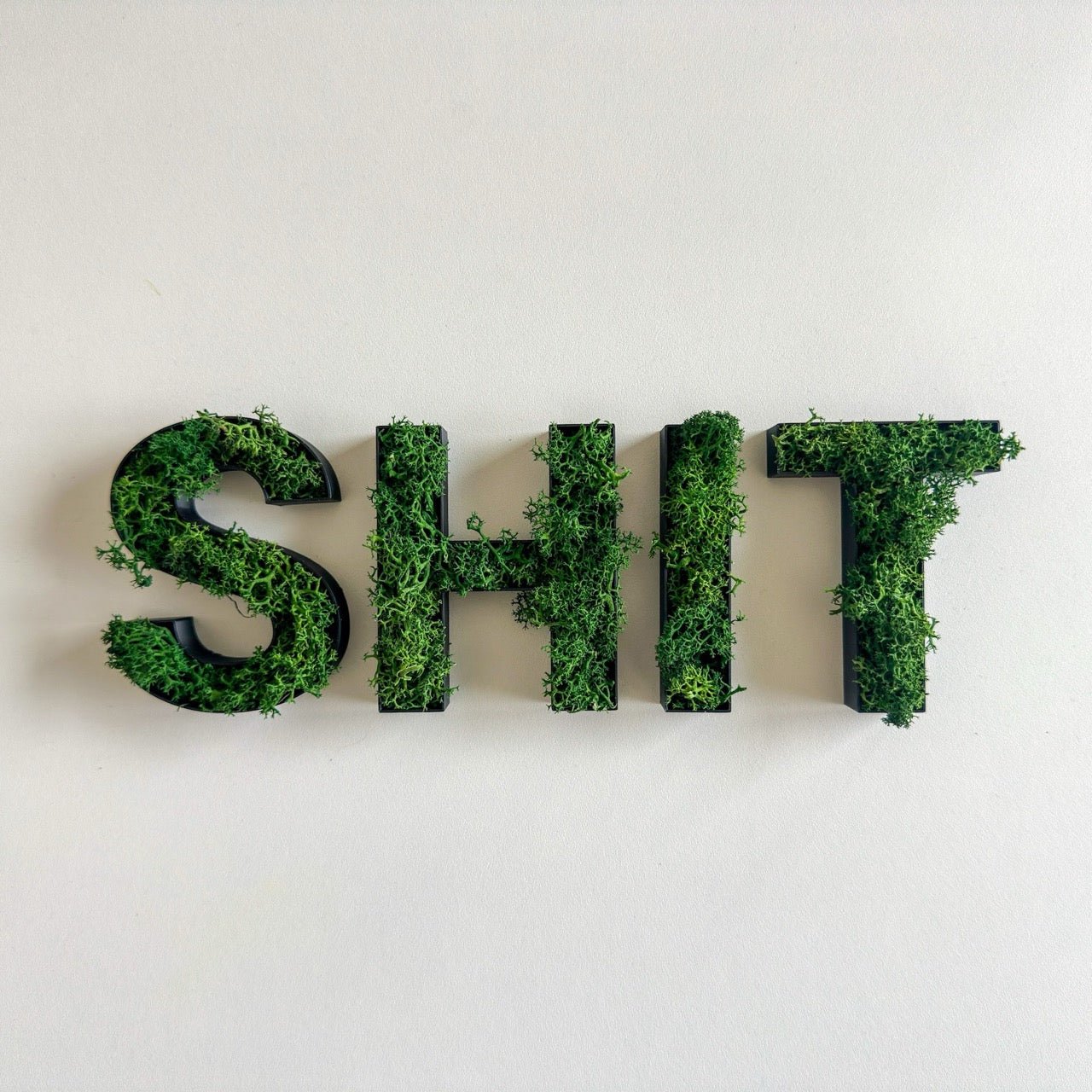 SHIT – Set aus Moosbuchstaben - moosletters.de
