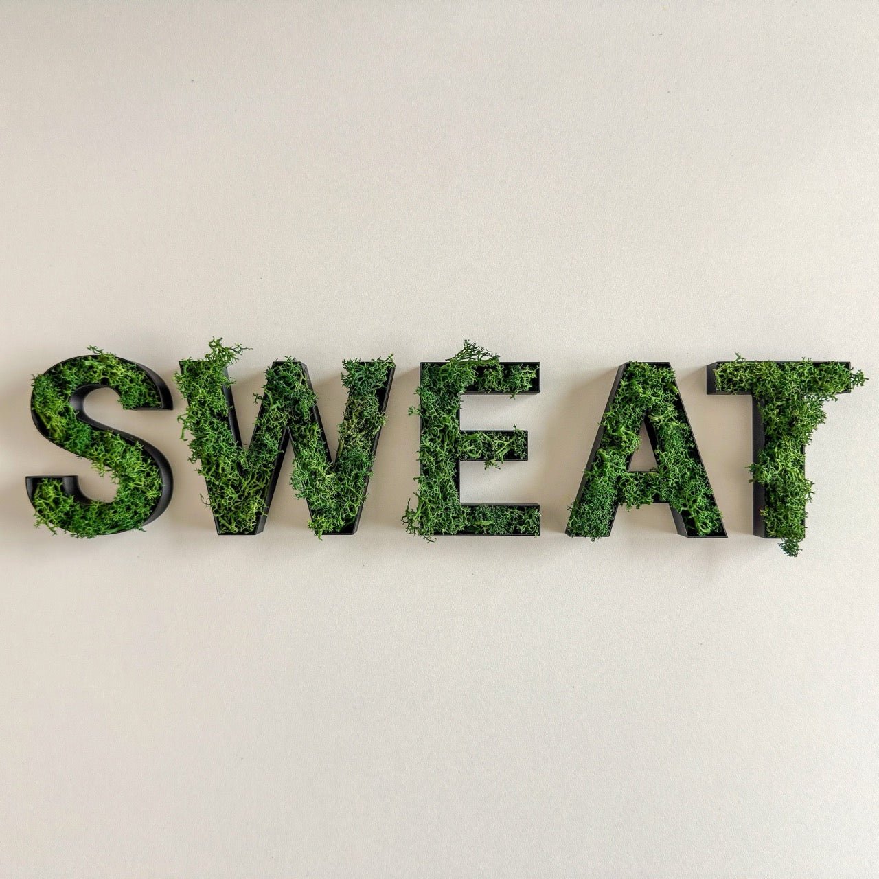 SWEAT – Set aus Moosbuchstaben - moosletters.de