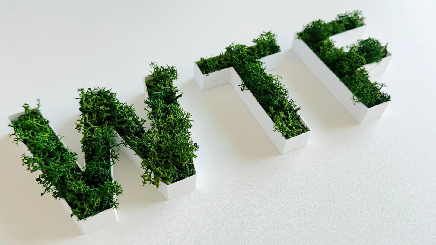 WTF – Set aus Moosbuchstaben - moosletters.de