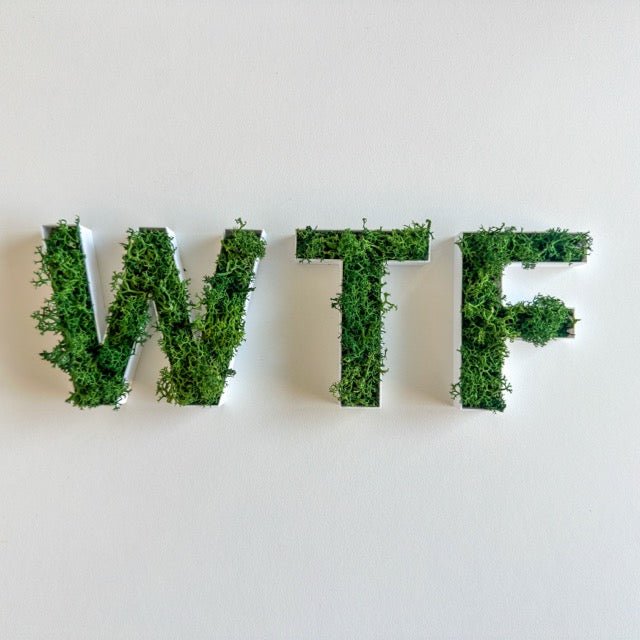 WTF – Set aus Moosbuchstaben - moosletters.de