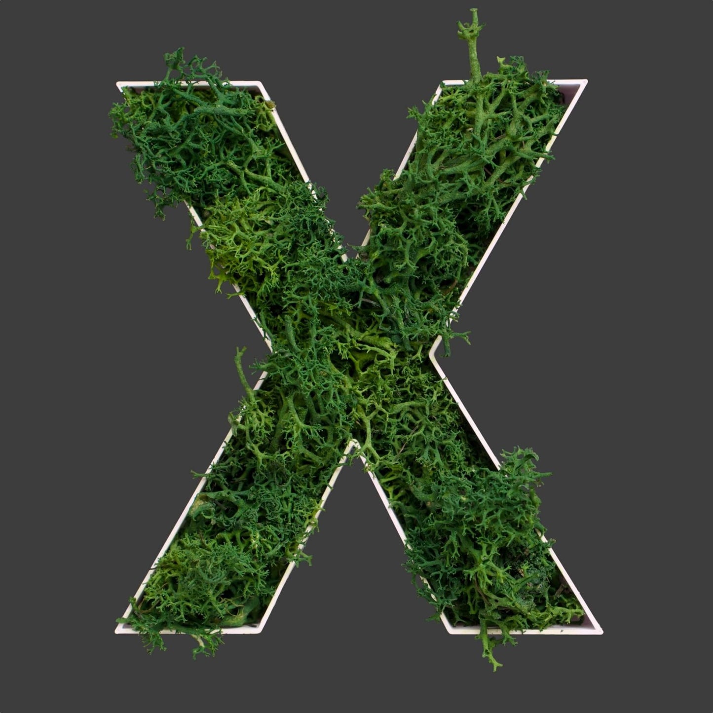 Buchstabe X aus Islandmoos dunkelgrün in weißem Rahmen