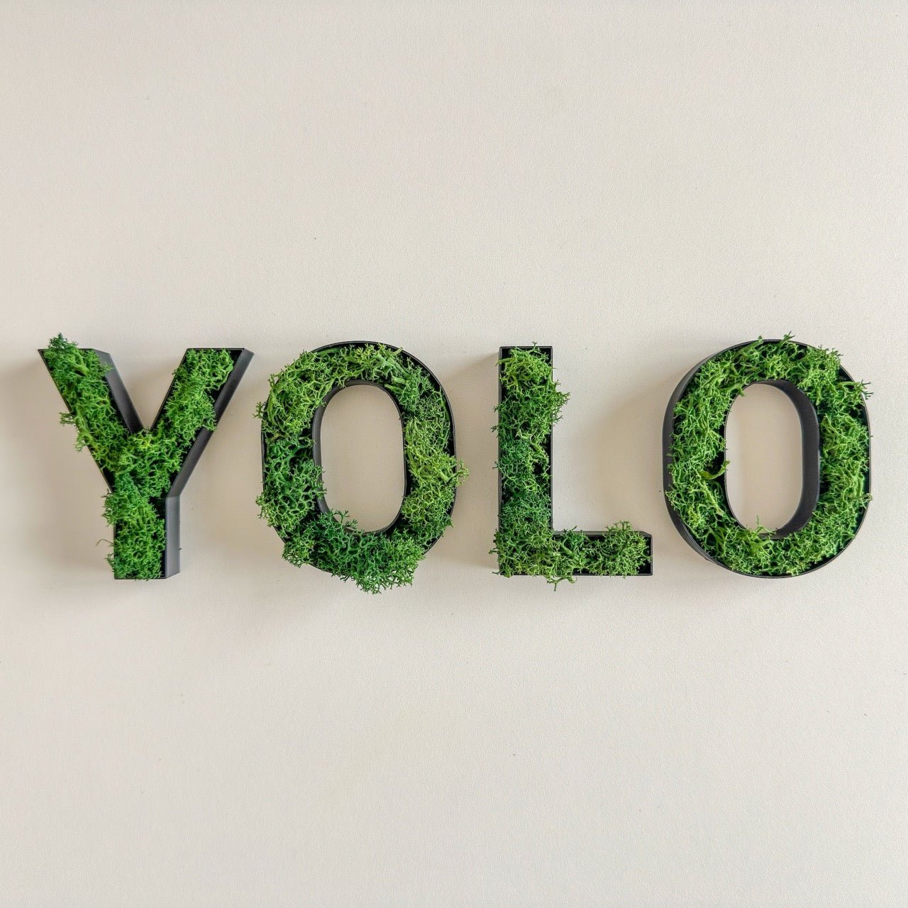 YOLO – Set aus Moosbuchstaben - moosletters.de
