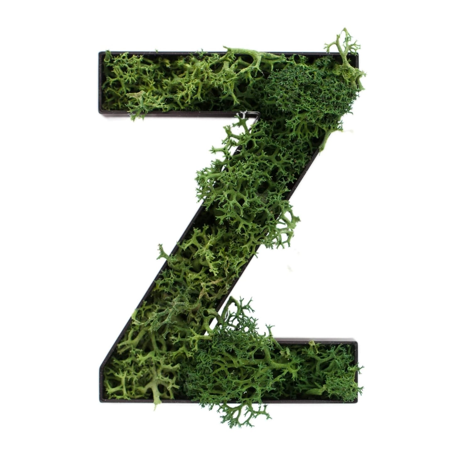 Buchstabe Z aus Islandmoos dunkelgrün in schwarzem Rahmen