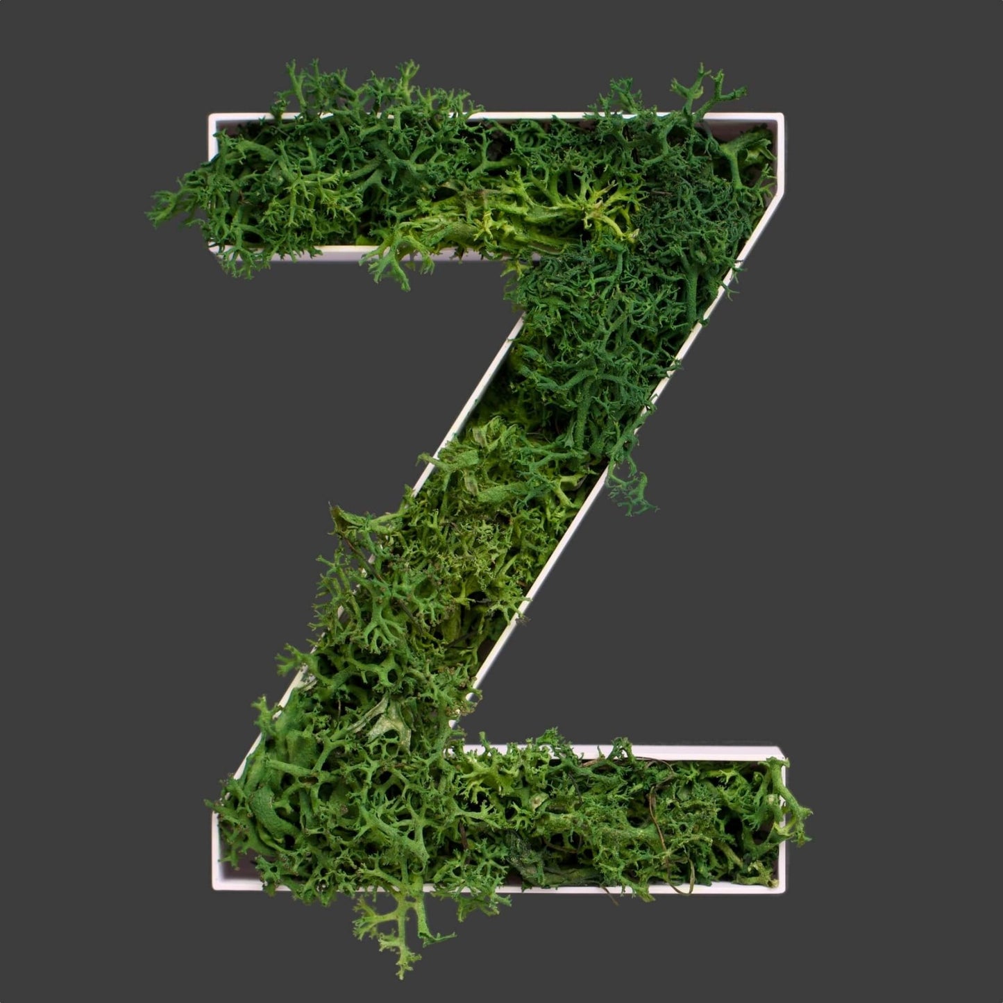 Buchstabe Z aus Islandmoos dunkelgrün in weißem Rahmen
