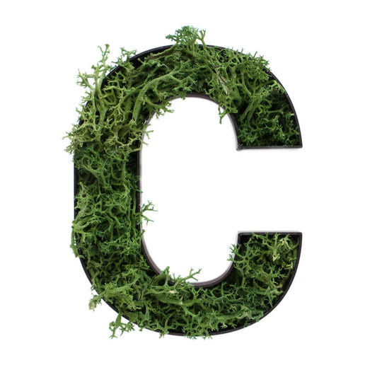 Buchstabe C aus Islandmoos dunkelgrün in schwarzem Rahmen