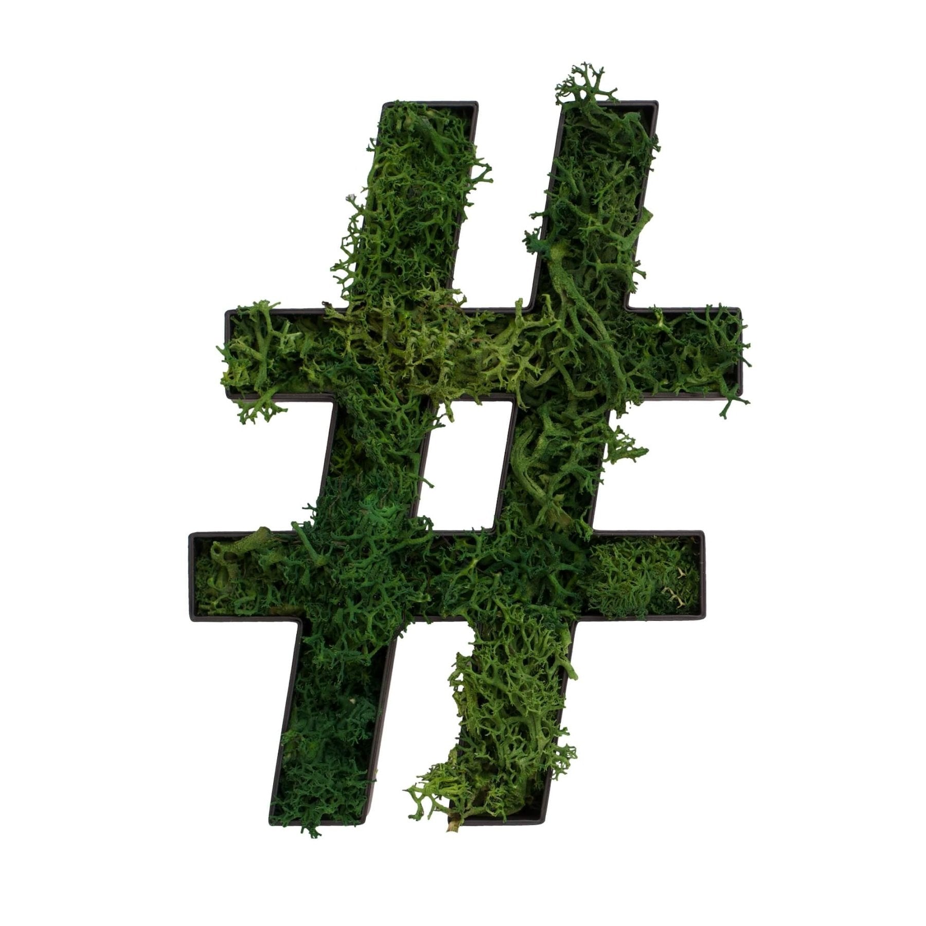 Sonderzeichen # aus Islandmoos dunkelgrün in schwarzem Rahmen