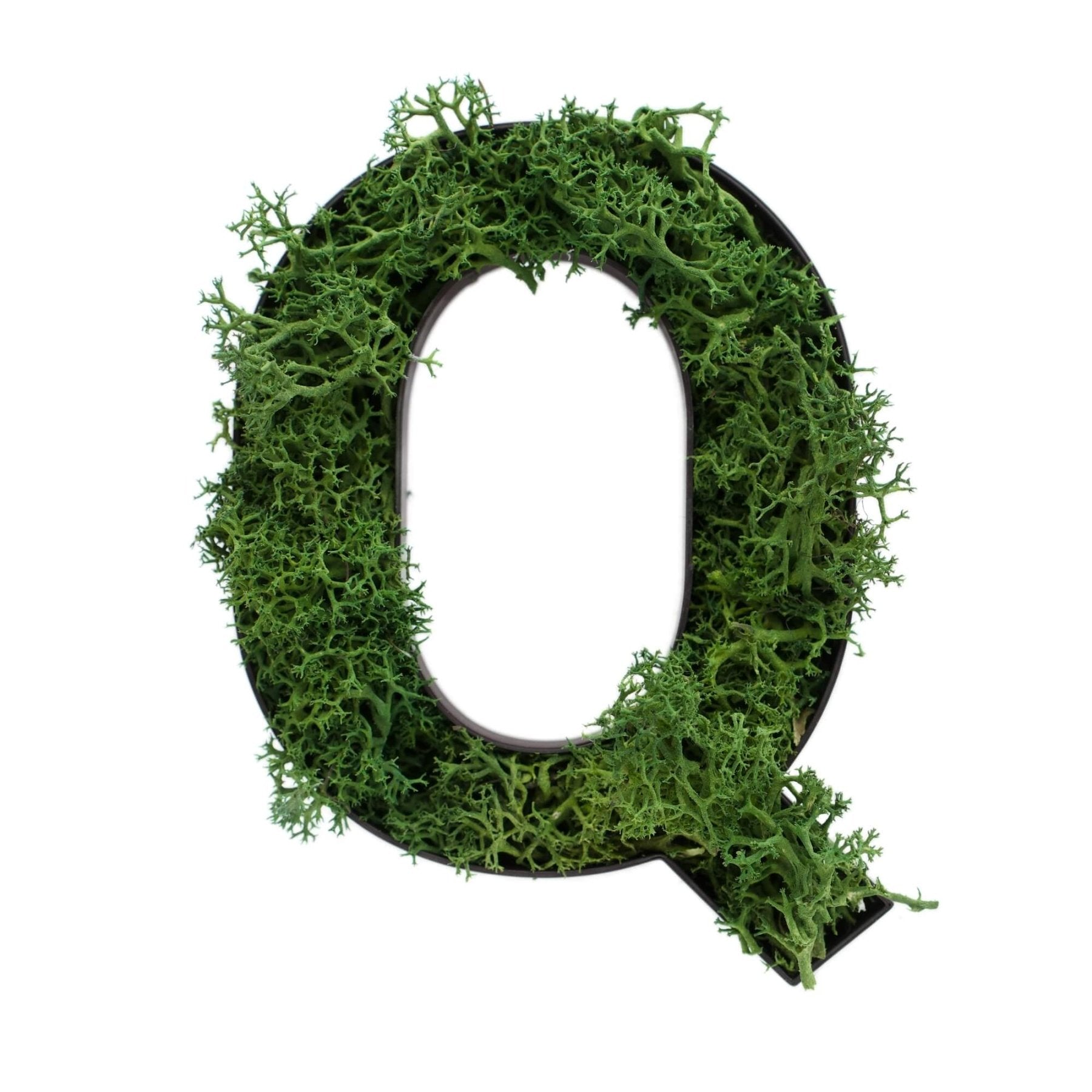 Buchstabe Q aus Islandmoos dunkelgrün in schwarzem Rahmen