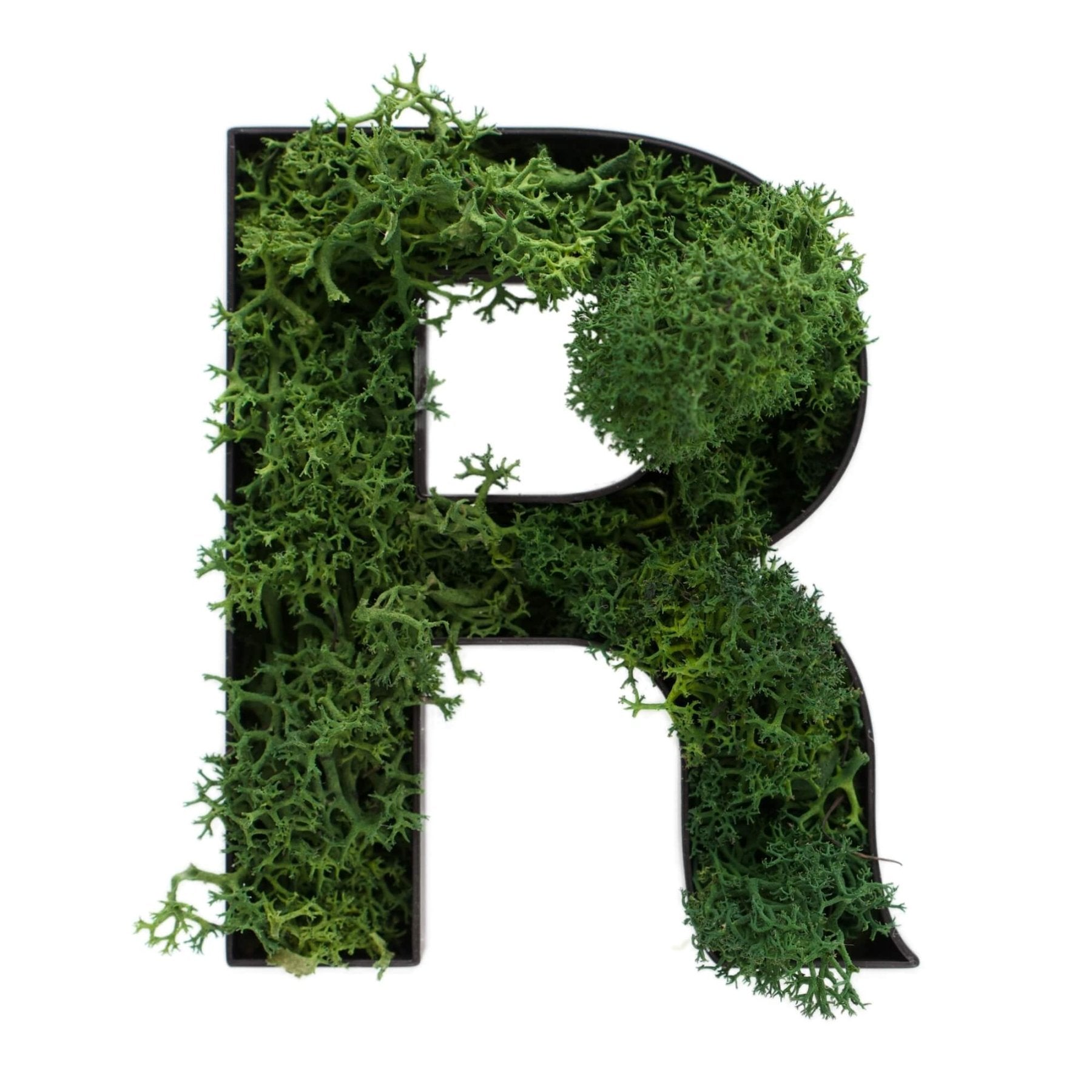 Buchstabe R aus Islandmoos dunkelgrün in schwarzem Rahmen