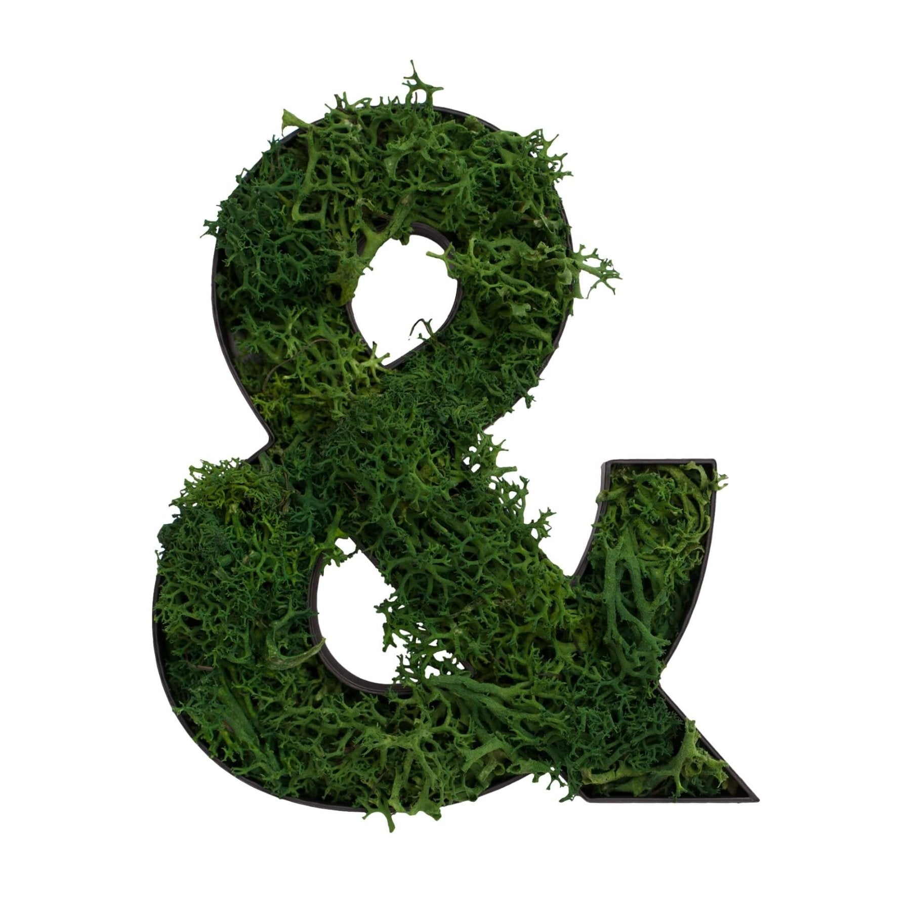 Sonderzeichen & aus Islandmoos dunkelgrün in schwarzem Rahmen