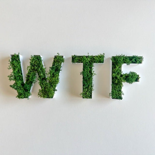 WTF – Set aus Moosbuchstaben - moosletters.de